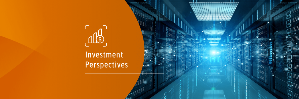 Investment Perspectives